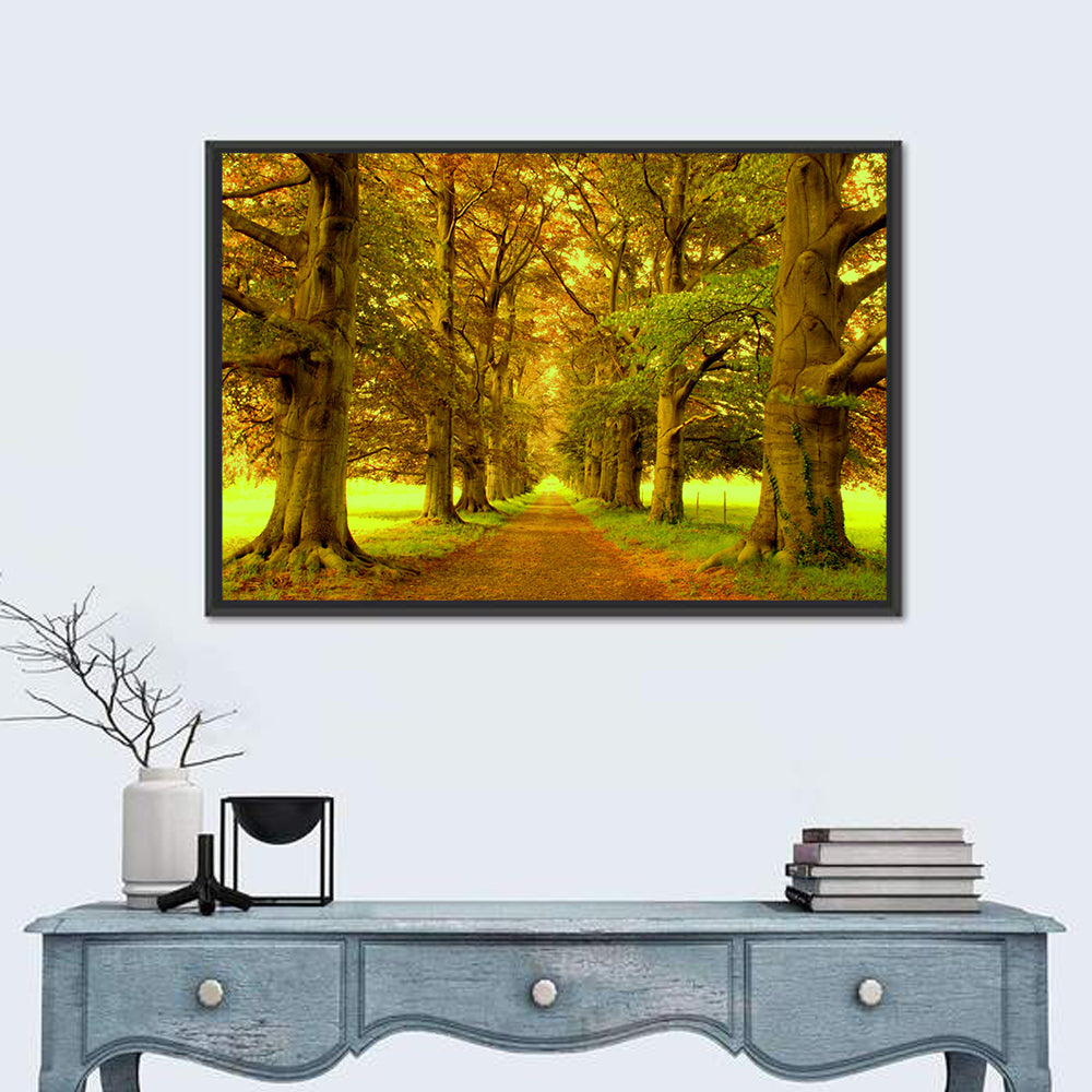Beech Tree Lane at Golden Hour Wall Art