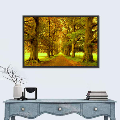 Beech Tree Lane at Golden Hour Wall Art