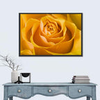 Yellow Rose Close-up Wall Art