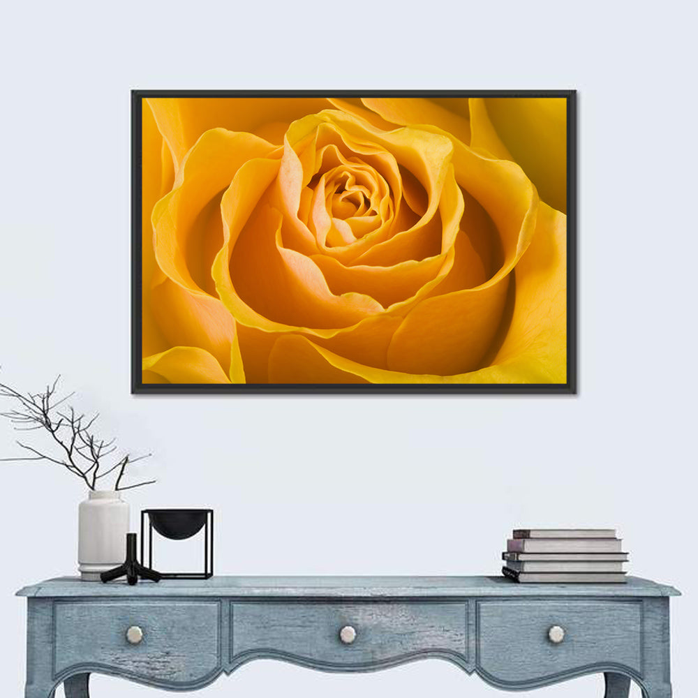 Yellow Rose Close-up Wall Art