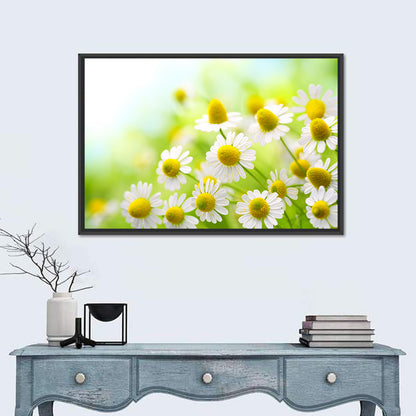 Chamomile Close-up Wall Art