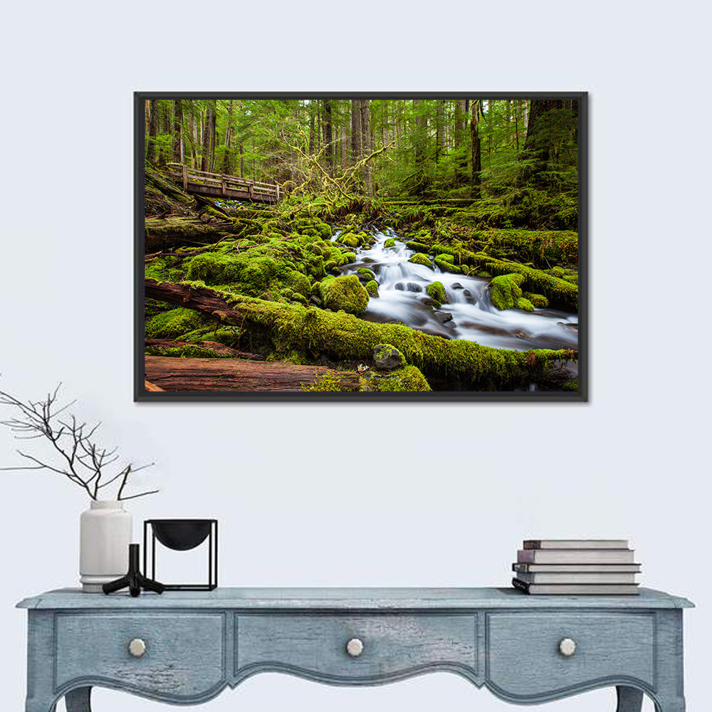 Mossy Cascade Forest Stream Wall Art in a room, landscape