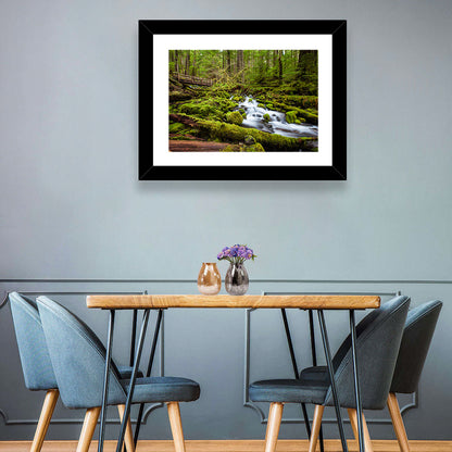 Mossy Cascade Forest Stream Wall Art