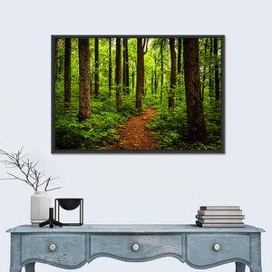 Shenandoah National Park Trail Wall Art