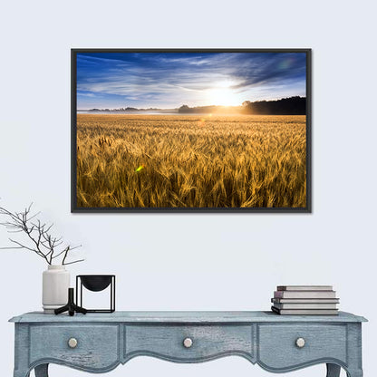 Golden Hour Wheat Field Wall Art