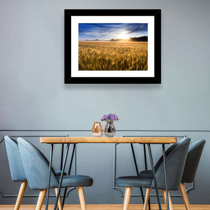 Golden Hour Wheat Field Wall Art