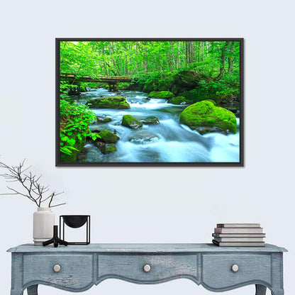 Mossy Forest Stream Wall Art