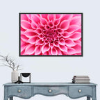 Pink Dahlia Spiral Close-up Wall Art