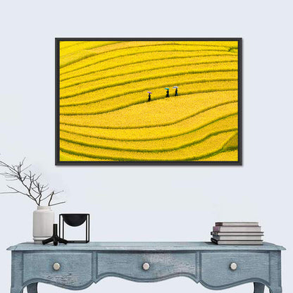 Golden Rice Terraces with Umbrellas Wall Art