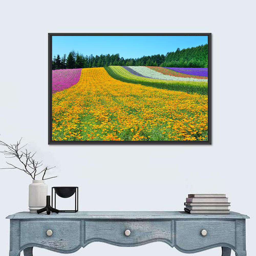 Tomita Flower Fields, Nakafurano Wall Art