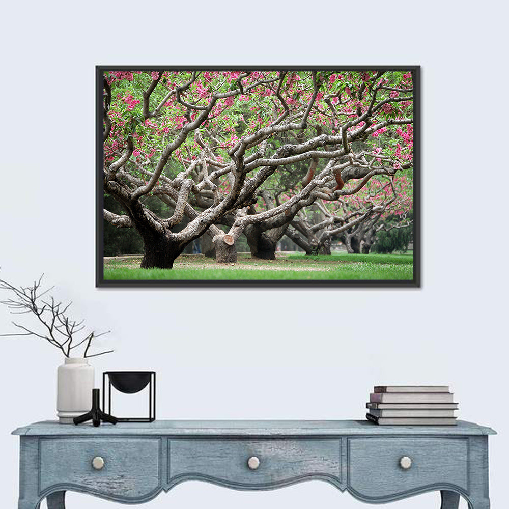 Peach Orchard in Bloom Wall Art in a room, landscape