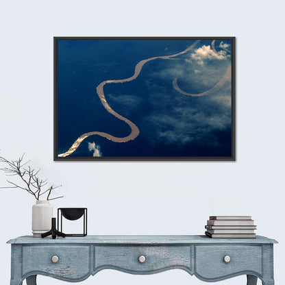 Sunlit Meander of the Amazon River Wall Art