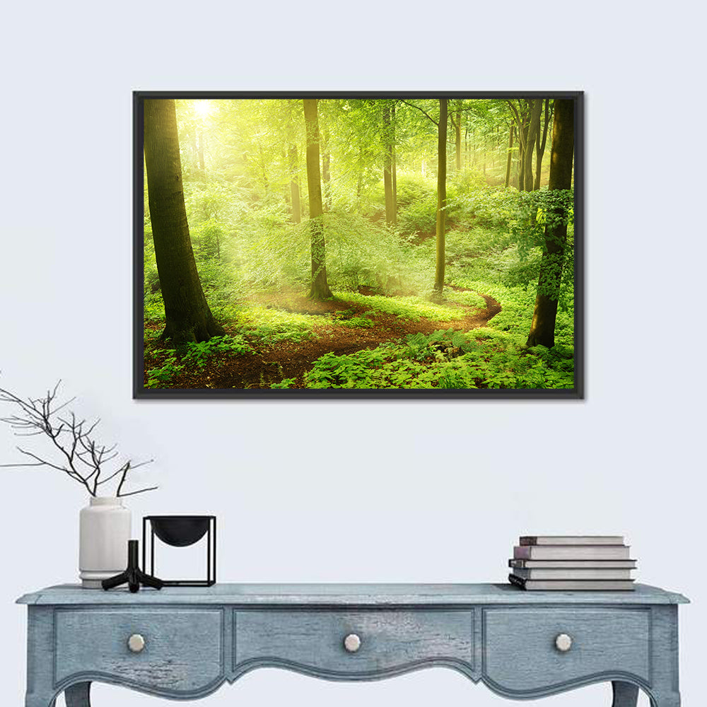 Sunlit Forest Path Wall Art