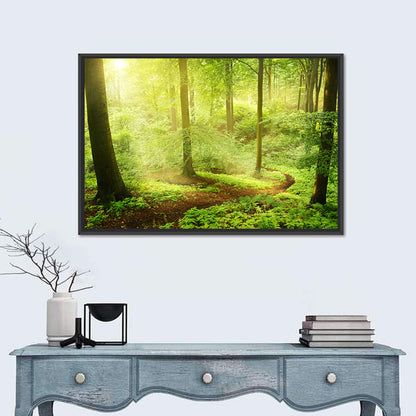 Sunlit Forest Path Wall Art