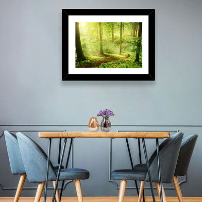 Sunlit Forest Path Wall Art