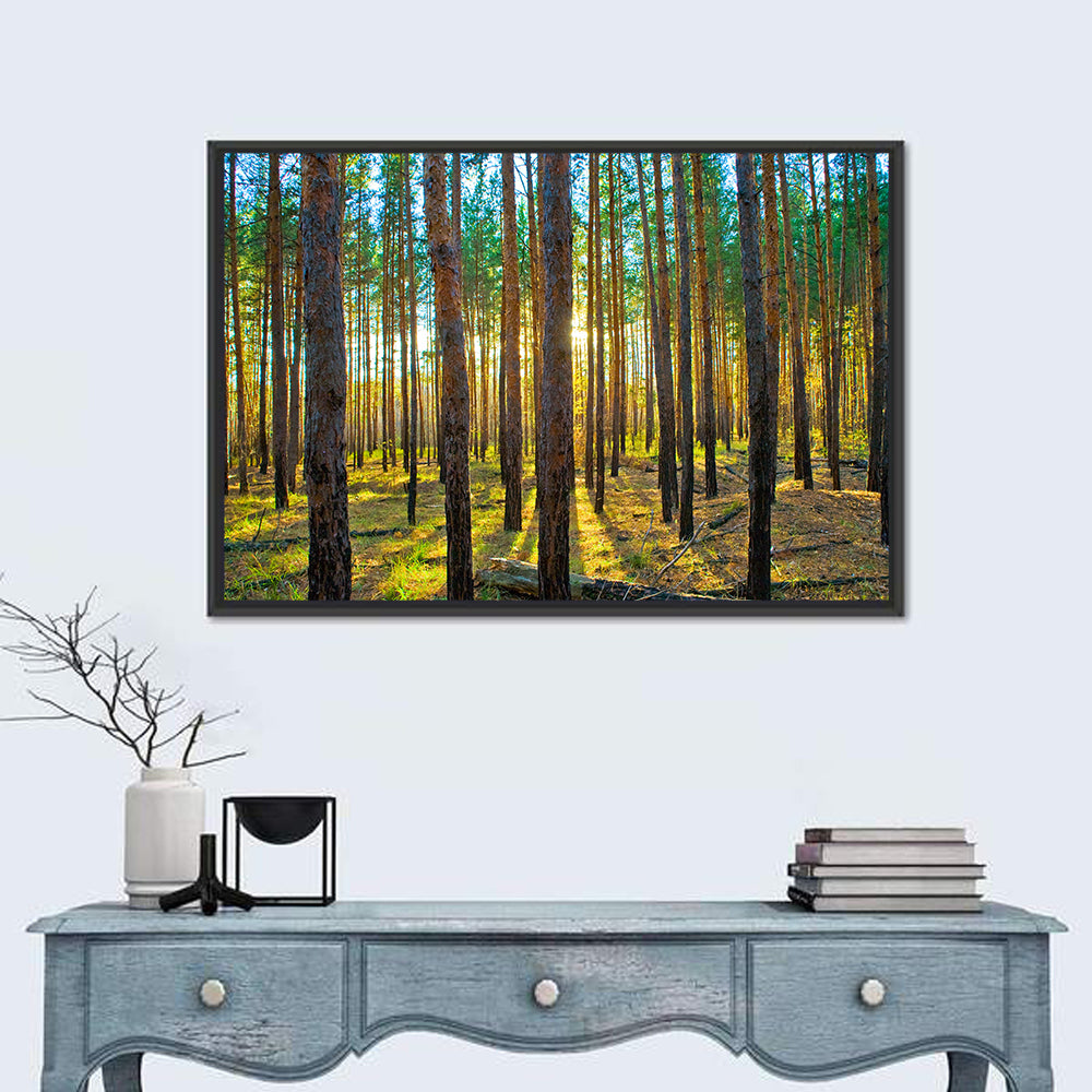 Scots Pine Forest Wall Art in a room, landscape