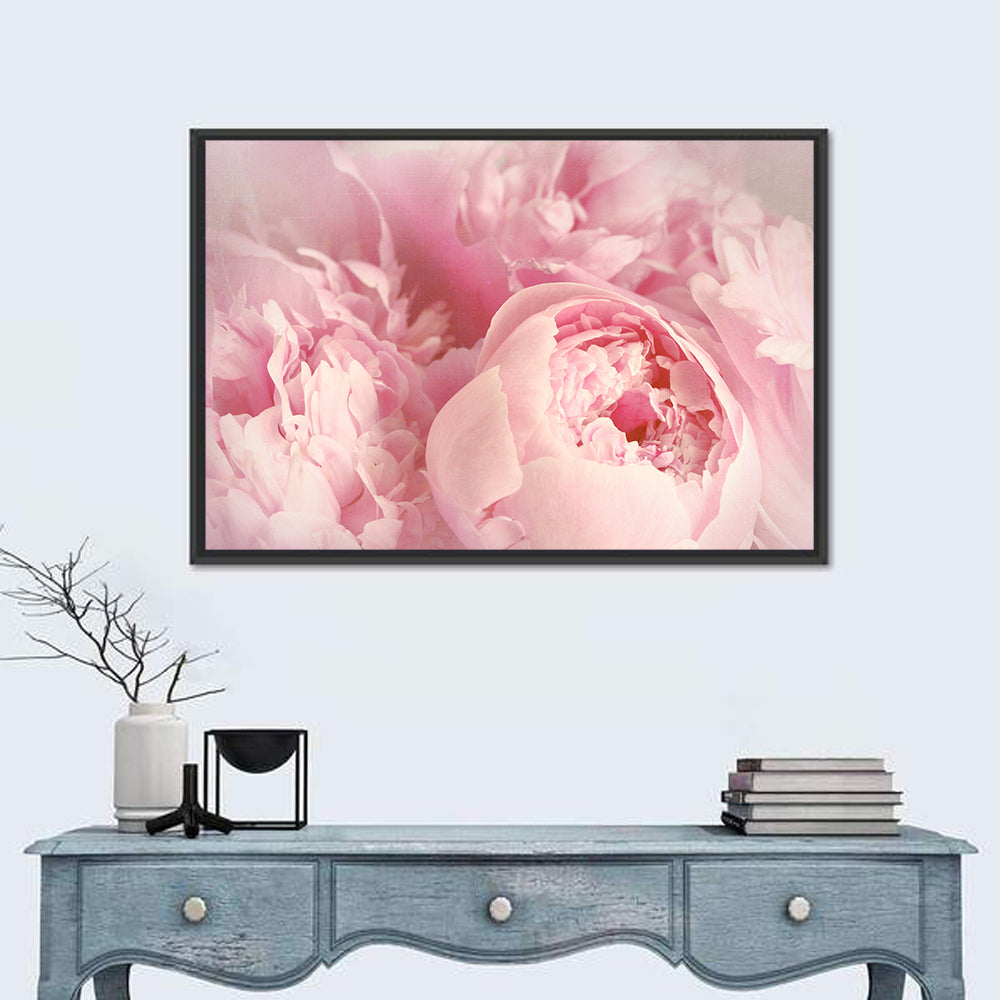 Soft Pink Peony Close Up Wall Art