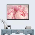 Soft Pink Peony Close Up Wall Art