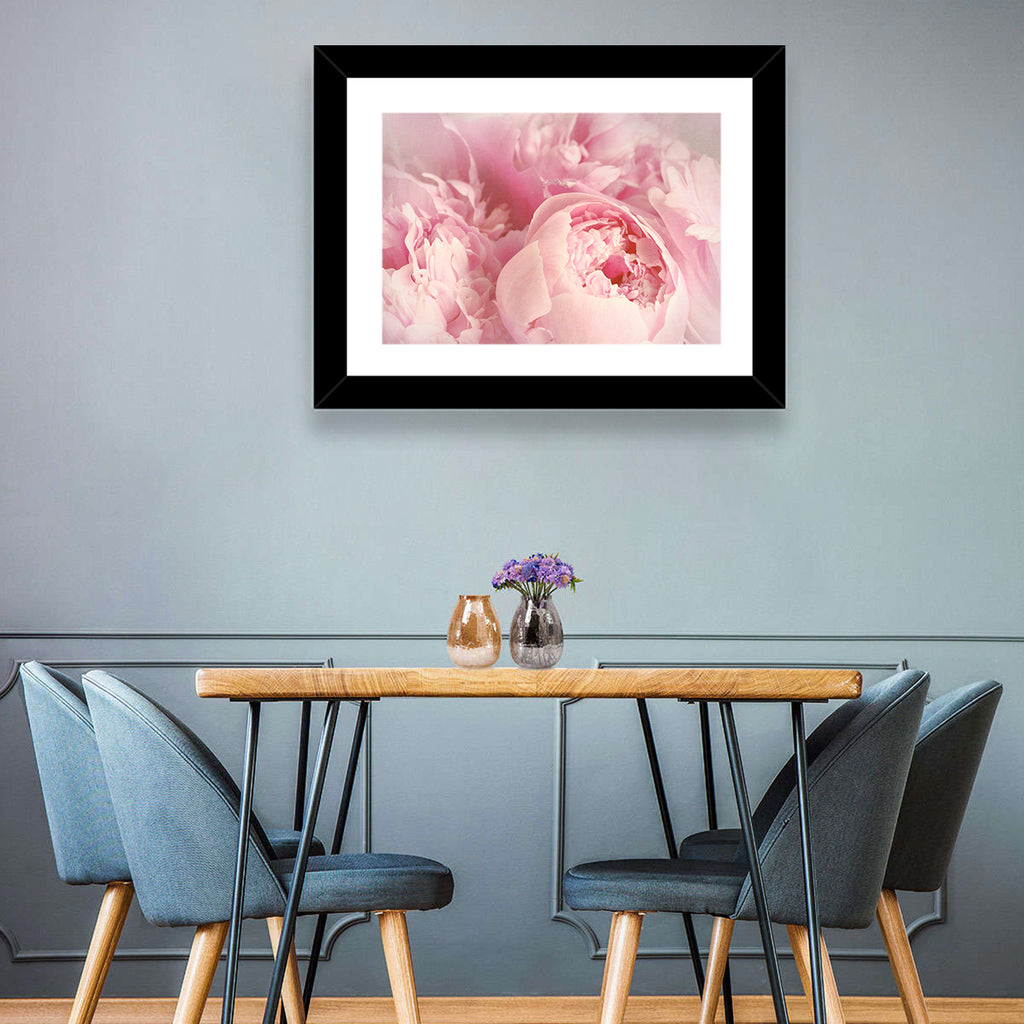 Soft Pink Peony Close Up Wall Art