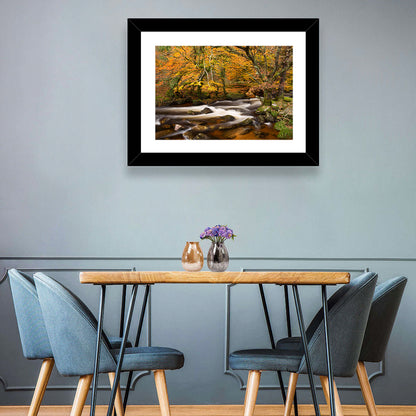 Dartmoor Autumn River in Golden Forest Wall Art