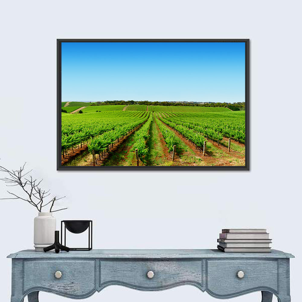 Sunlit Vineyard Rows Wall Art