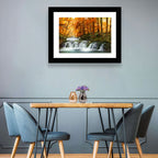 Autumn Forest Waterfall Wall Art