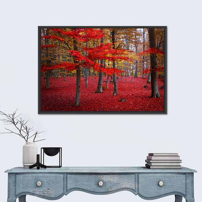 Crimson Autumn Forest Wall Art