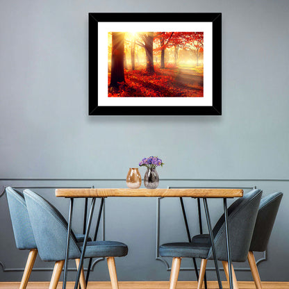 Sunlit Forest Path Wall Art