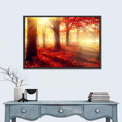 Sunlit Forest Path Wall Art