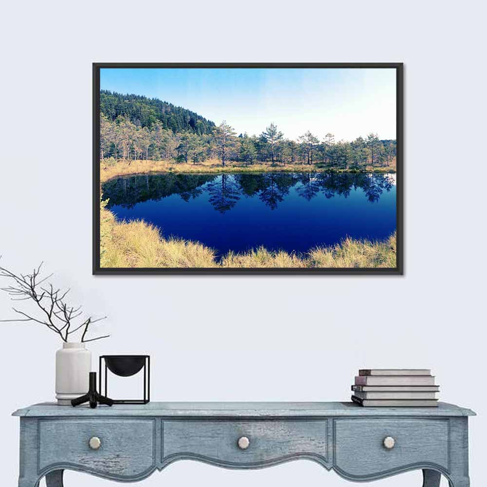 Tundra Reservation Park Lake Wall Art in a room, landscape
