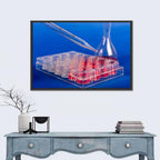 Stem Cell Pipette Close-up Wall Art