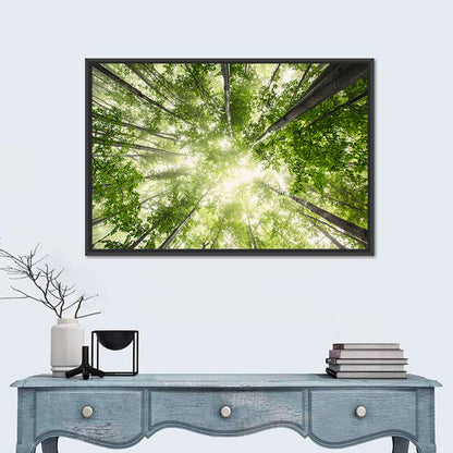 Misty Spring Forest Wall Art