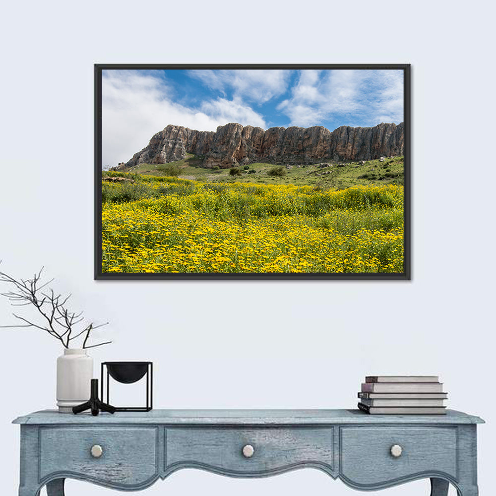 Mount Arbel Wildflower Meadow Wall Art