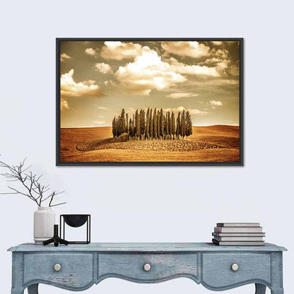 Tuscany Cypress Field Wall Art