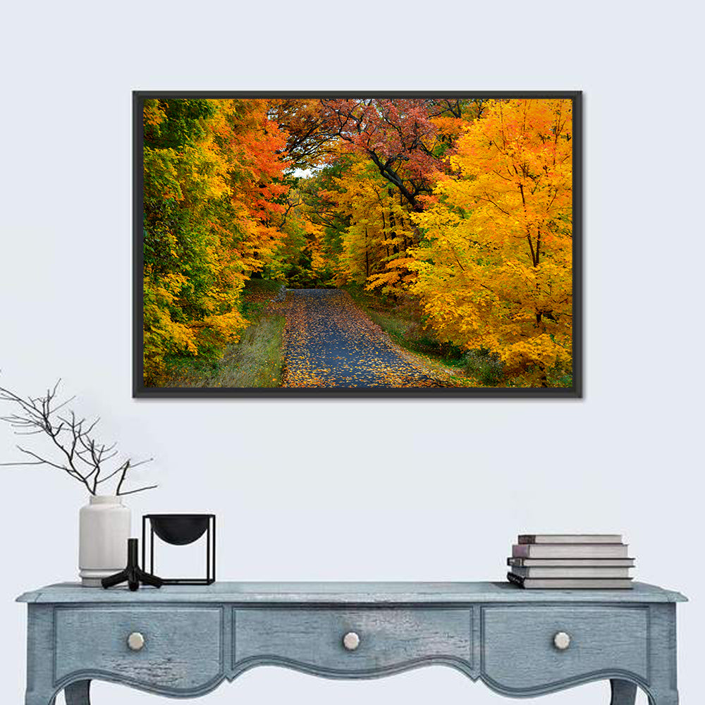 Autumn Road Through Wisconsin Park Wall Art