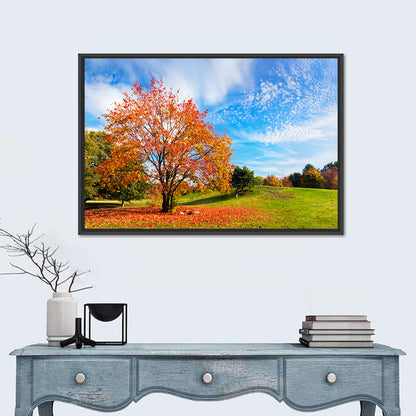 Orange Maple on Rolling Hill Wall Art