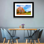 Orange Maple on Rolling Hill Wall Art