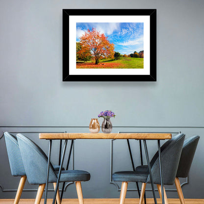 Orange Maple on Rolling Hill Wall Art