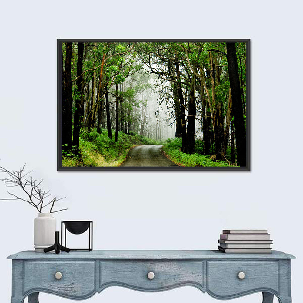 Misty Eucalyptus Road Wall Art