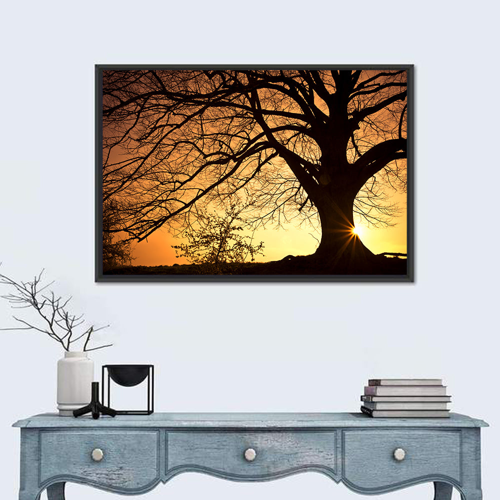 Willow Tree Sunset Wall Art
