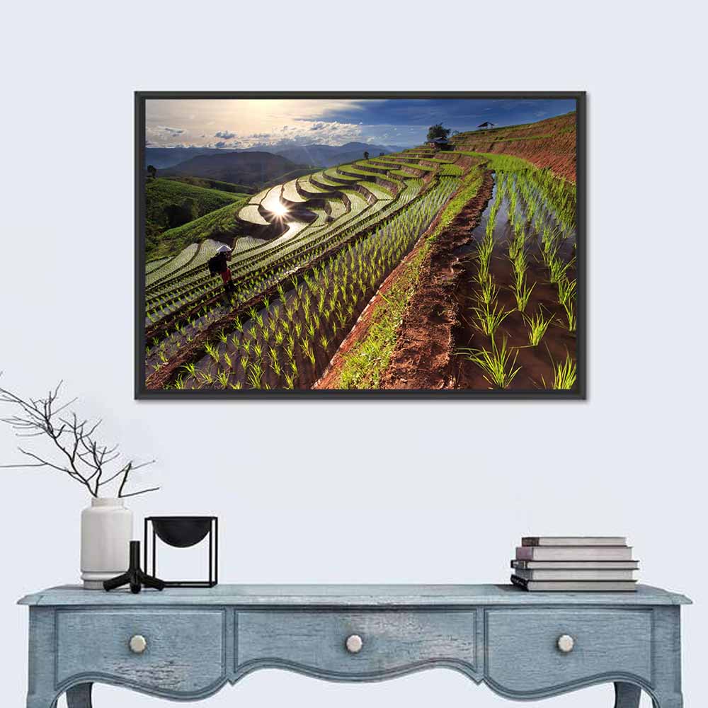 Chiang Mai Rice Terraces at Sunset Wall Art