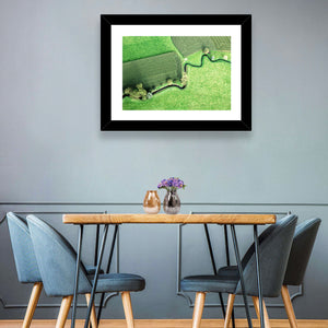 Meandering River Wall Art