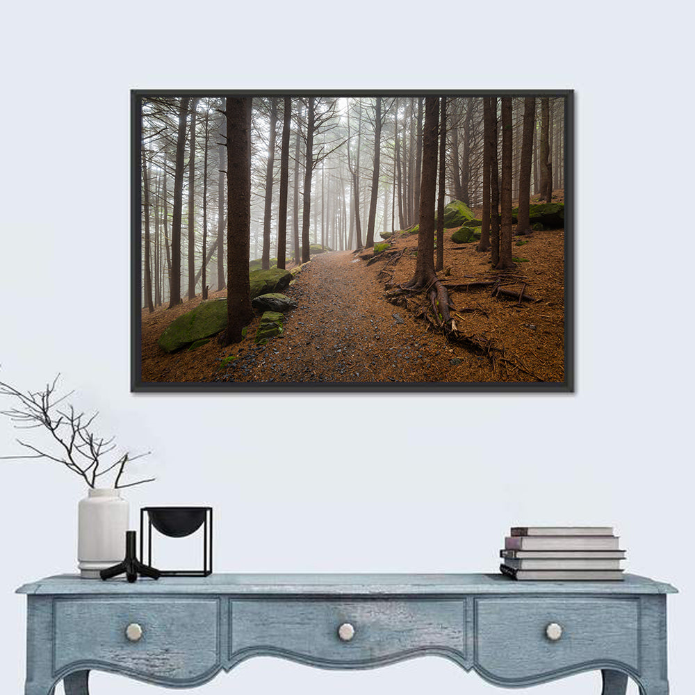 Misty Appalachian Trail Path Wall Art in a room, landscape