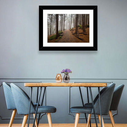 Misty Appalachian Trail Path Wall Art