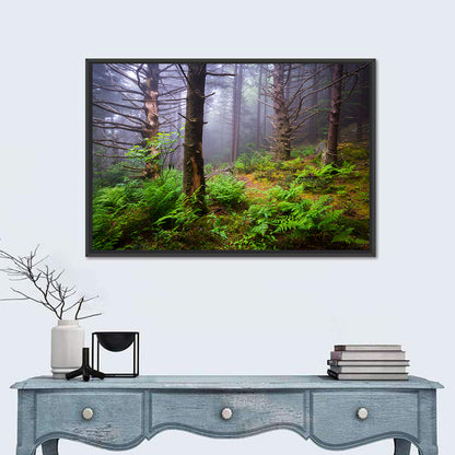 Misty Spruce-fir Trail Wall Art