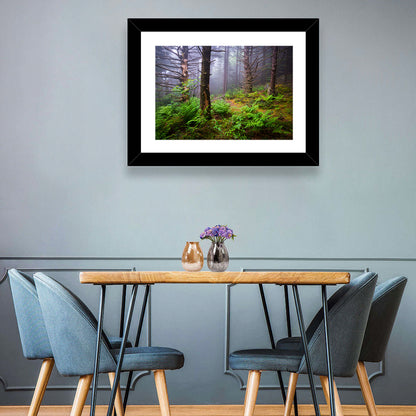 Misty Spruce-fir Trail Wall Art