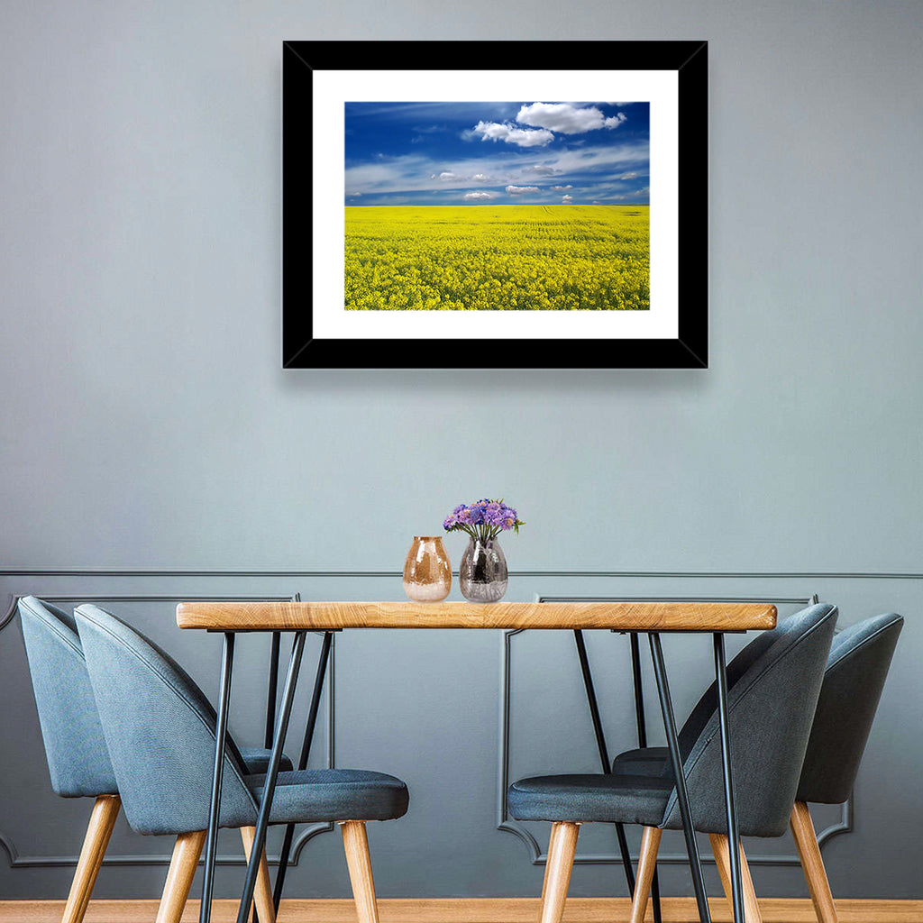 Sunlit Canola Field Wall Art
