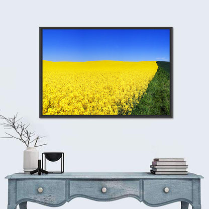 Sunlit Rapeseed Field Wall Art