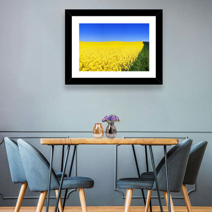Sunlit Rapeseed Field Wall Art