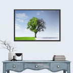 Split Seasons Tree Wall Art